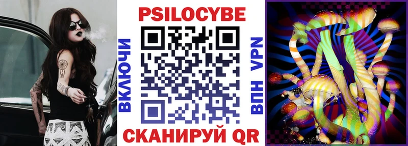 Псилоцибиновые грибы Psilocybine cubensis  Железногорск-Илимский 